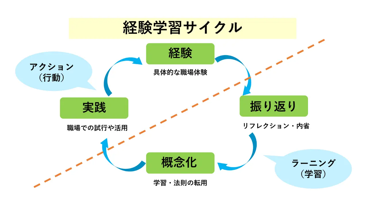 経験学習サイクル